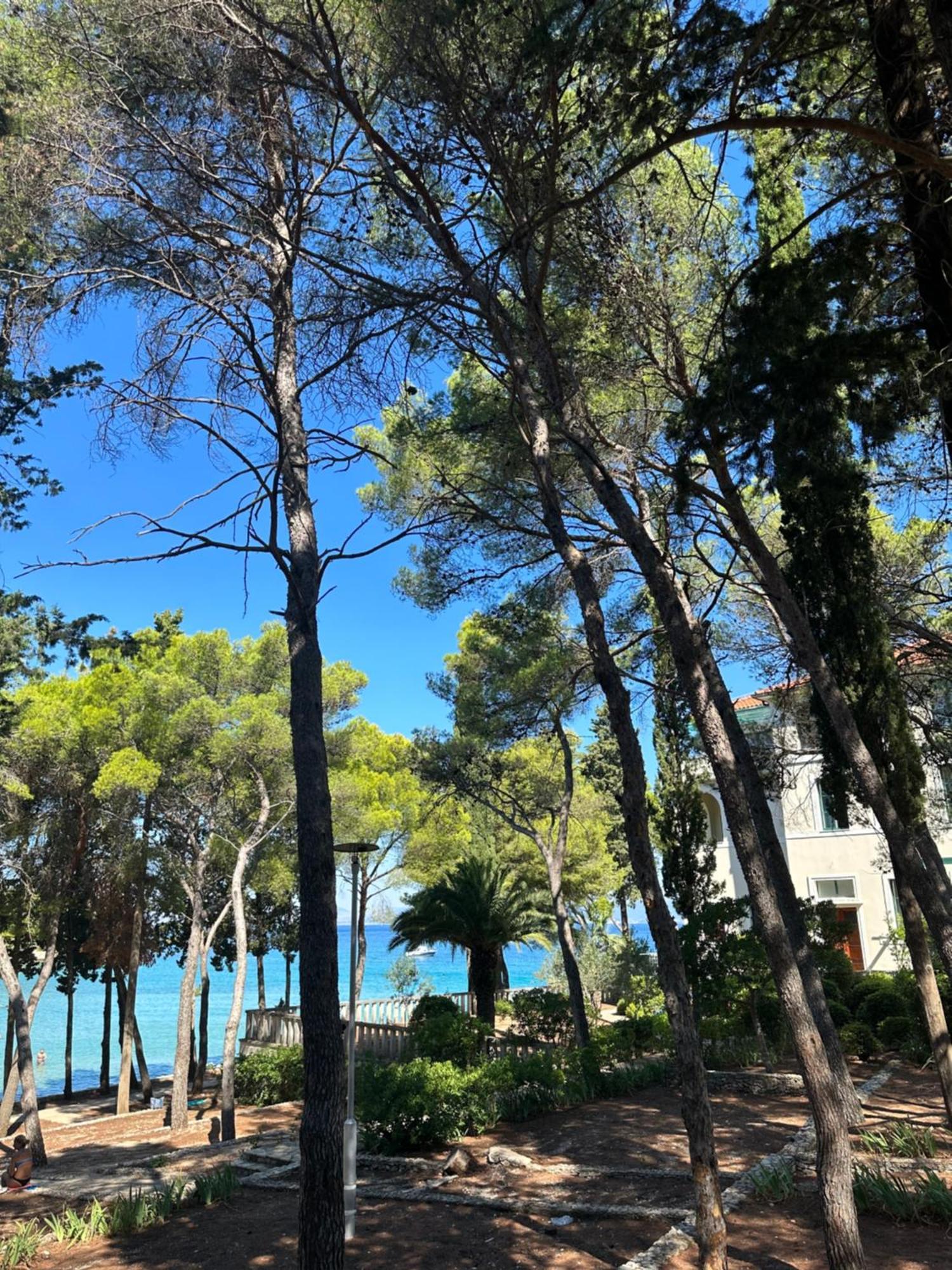 - Budva